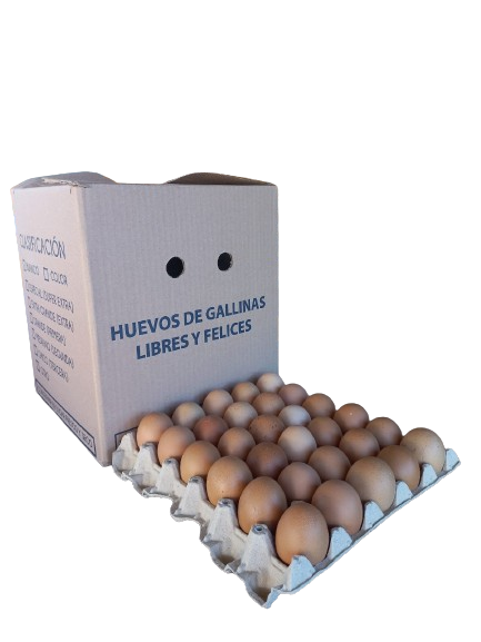 Huevos primera