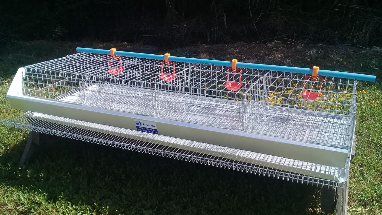 Jaula para gallinas